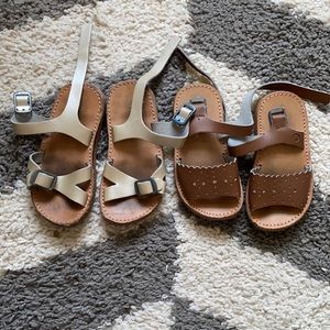 Freshly Picked Sanders Sz 5 and Sz 6